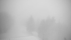 Lalíky vrcholová stanice