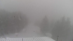 Lalíky vrcholová stanice