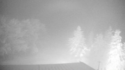 Lalíky vrcholová stanice