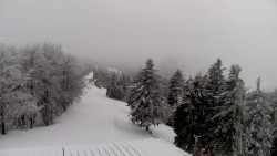 Lalíky vrcholová stanice