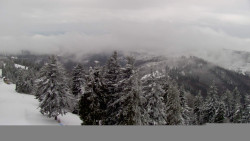 Lalíky vrcholová stanice