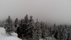 Lalíky vrcholová stanice