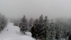 Lalíky vrcholová stanice