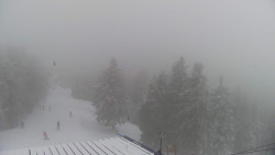 Lalíky vrcholová stanice