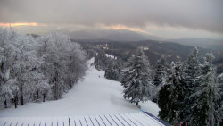 Lalíky vrcholová stanice