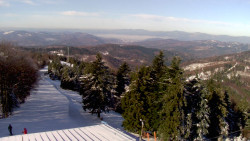 Lalíky vrcholová stanice