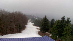 Lalíky vrcholová stanice