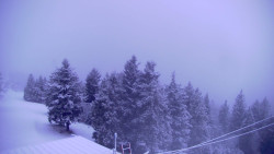 Lalíky vrcholová stanice