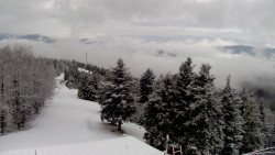 Lalíky vrcholová stanice