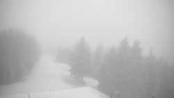 Lalíky vrcholová stanice