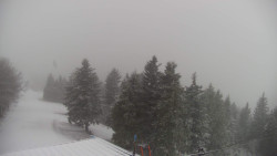 Lalíky vrcholová stanice