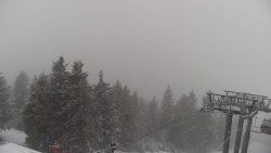 Lalíky vrcholová stanice