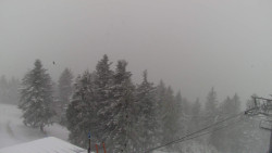 Lalíky vrcholová stanice