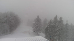 Lalíky vrcholová stanice