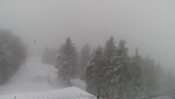 Lalíky vrcholová stanice