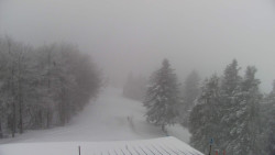 Lalíky vrcholová stanice