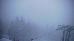 Lalíky vrcholová stanice