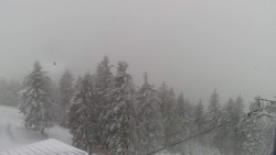 Lalíky vrcholová stanice