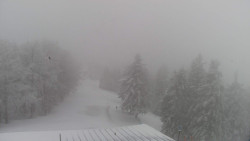 Lalíky vrcholová stanice