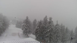 Lalíky vrcholová stanice