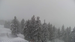 Lalíky vrcholová stanice