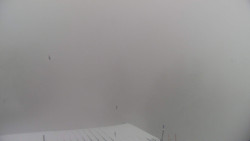 Lalíky vrcholová stanice