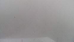 Lalíky vrcholová stanice