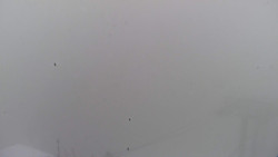 Lalíky vrcholová stanice