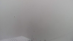 Lalíky vrcholová stanice