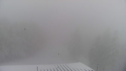 Lalíky vrcholová stanice