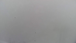 Lalíky vrcholová stanice