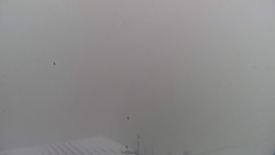 Lalíky vrcholová stanice