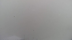 Lalíky vrcholová stanice