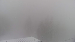 Lalíky vrcholová stanice