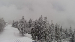 Lalíky vrcholová stanice