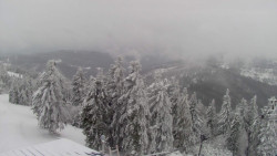 Lalíky vrcholová stanice