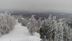 Lalíky vrcholová stanice