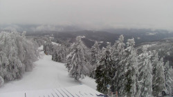 Lalíky vrcholová stanice