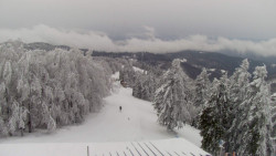 Lalíky vrcholová stanice