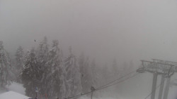 Lalíky vrcholová stanice