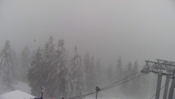 Lalíky vrcholová stanice