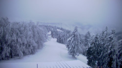 Lalíky vrcholová stanice