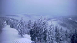 Lalíky vrcholová stanice