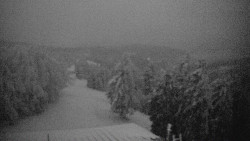 Lalíky vrcholová stanice