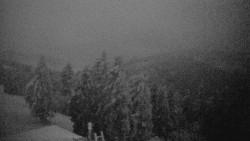 Lalíky vrcholová stanice