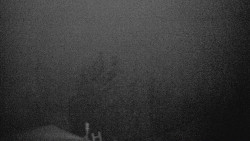 Lalíky vrcholová stanice