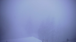 Lalíky vrcholová stanice