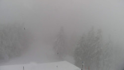 Lalíky vrcholová stanice