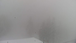 Lalíky vrcholová stanice