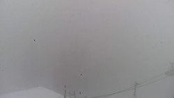 Lalíky vrcholová stanice